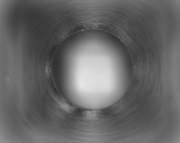 X0000082980134200702160007