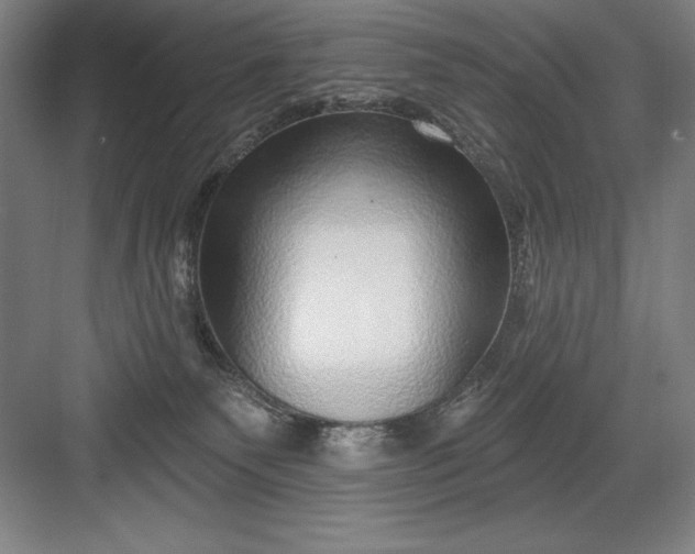 X0000082980135200702160007