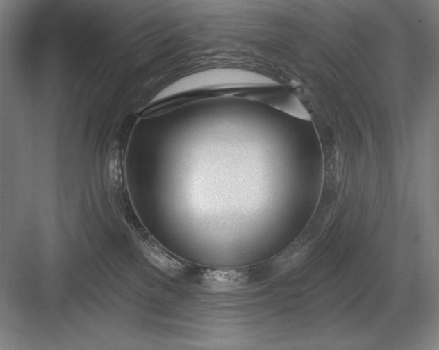 X0000082980137200702160007