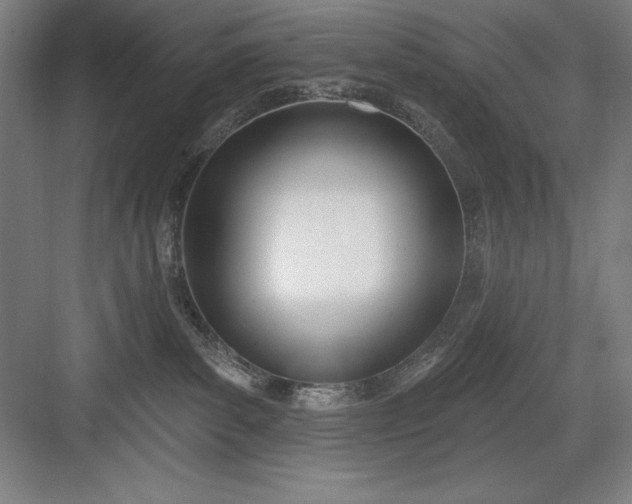 X0000082980139200702160007