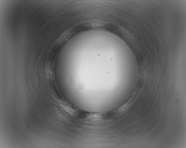 X0000082980140200702160007