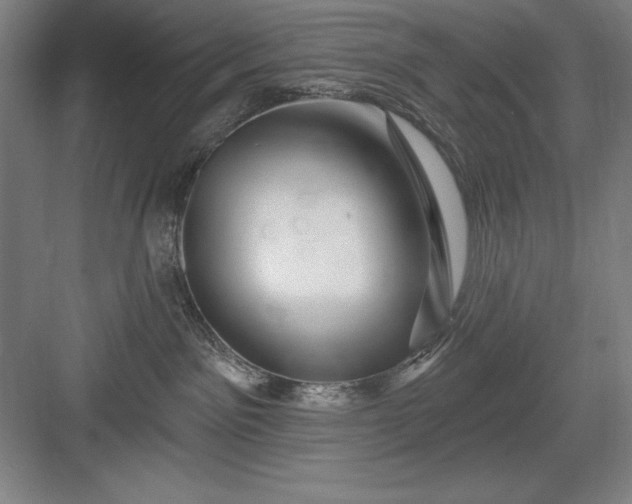 X0000082980141200702160007