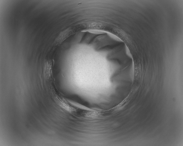 X0000082980142200702160007