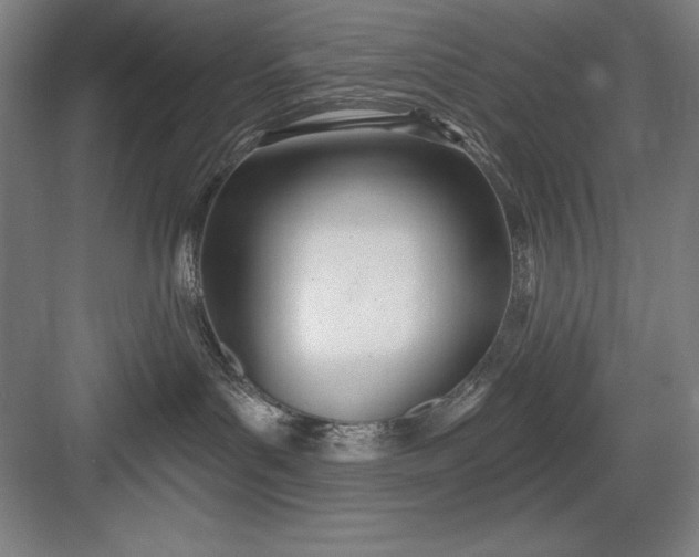 X0000082980143200702160007