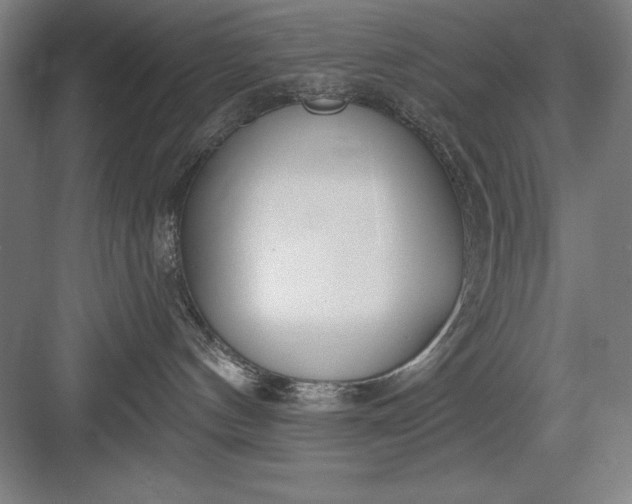 X0000082980144200702160007