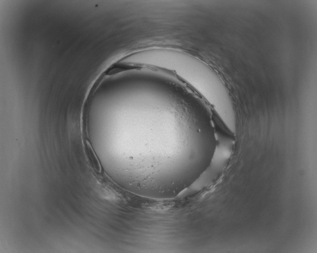 X0000082980148200702160006