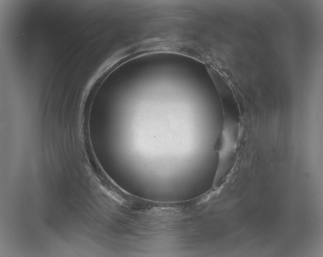 X0000082980150200702160006