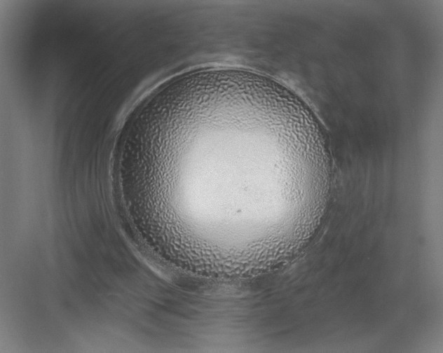 X0000082980151200702160006