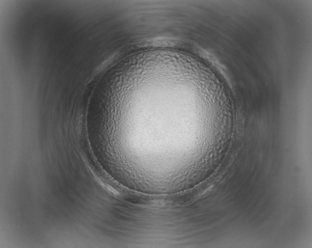 X0000082980153200702160007
