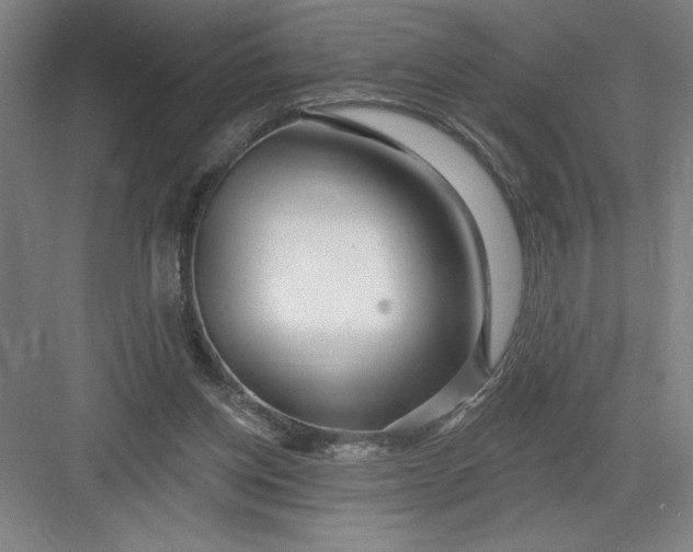 X0000082980158200702160007