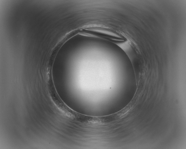 X0000082980160200702160007