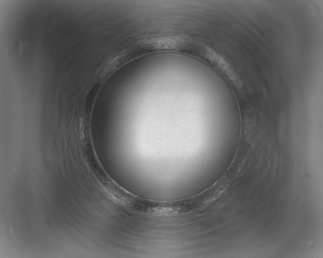 X0000082980161200702160007