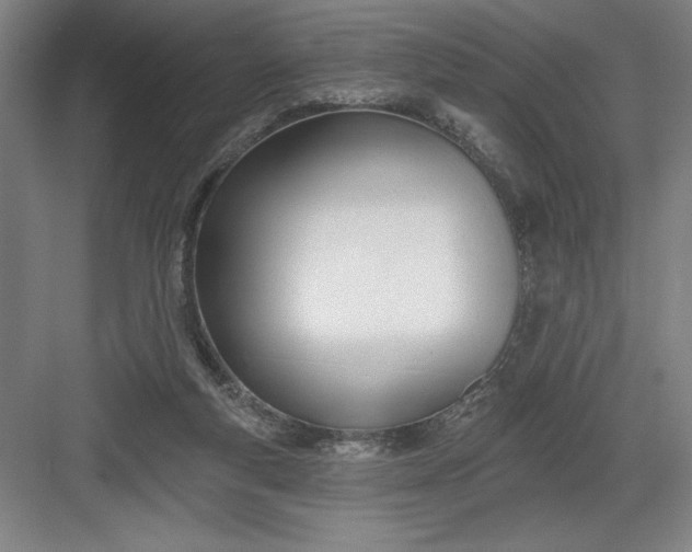 X0000082980163200702160007