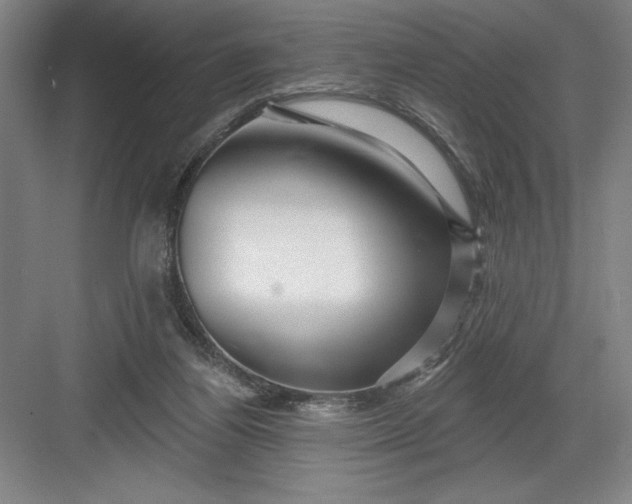X0000082980164200702160007