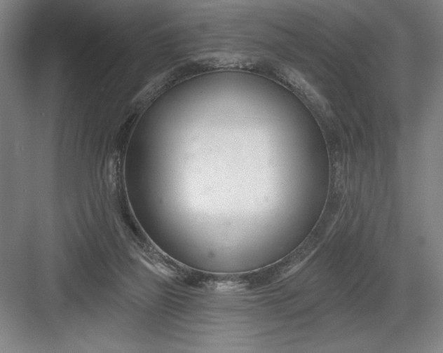 X0000082980165200702160007
