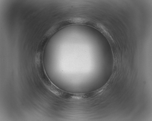 X0000082980167200702160007