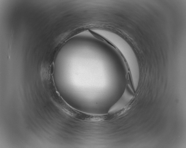 X0000082980168200702160007