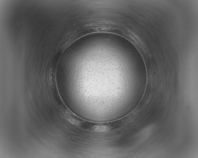 X0000082980169200702160007
