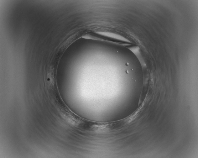 X0000082980170200702160007