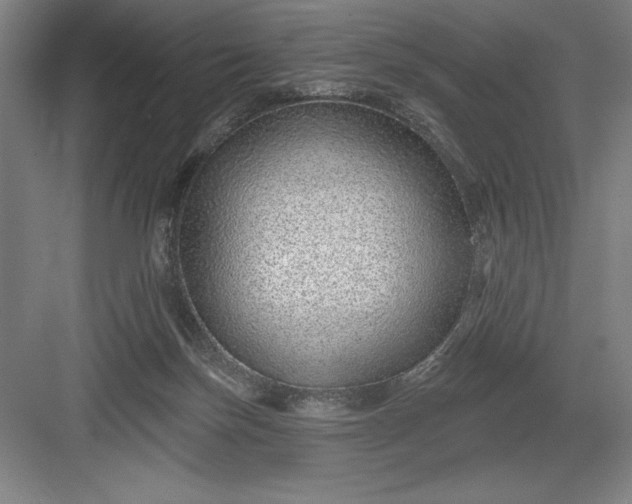 X0000082980171200702160007