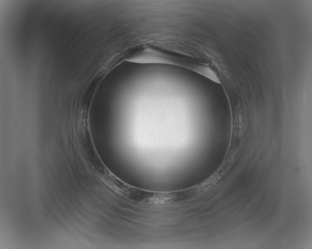 X0000082980172200702160007