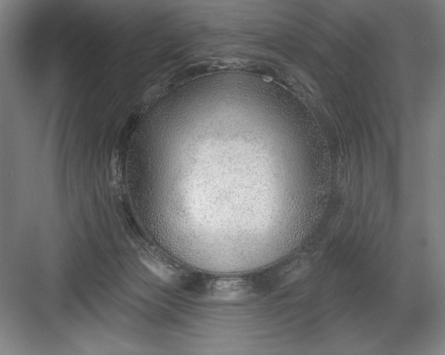 X0000082980173200702160007