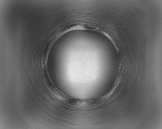 X0000082980174200702160007