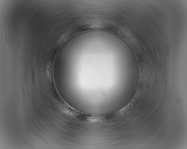 X0000082980175200702160007