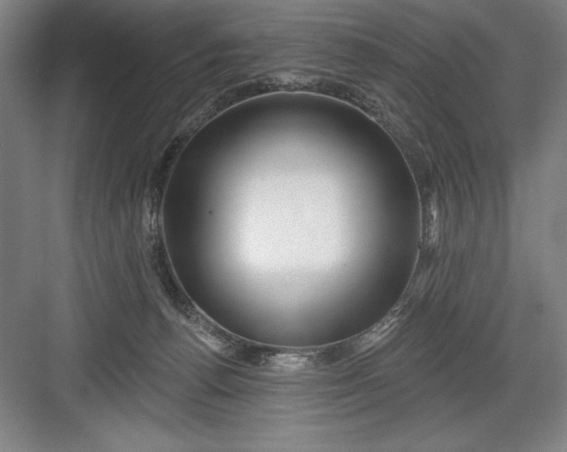 X0000082980176200702160007