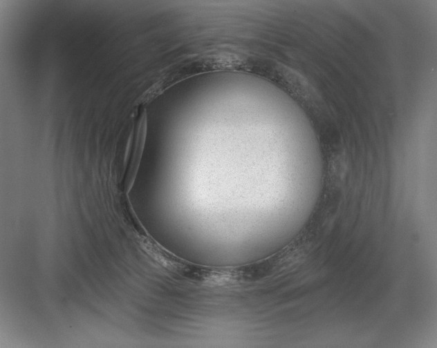 X0000082980177200702160007