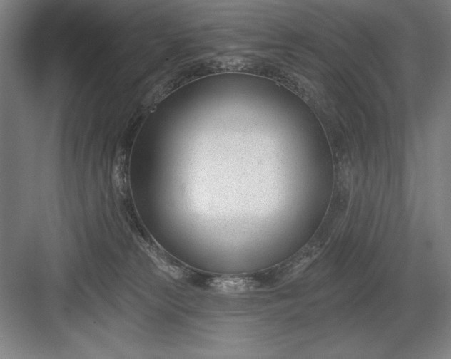 X0000082980181200702160007