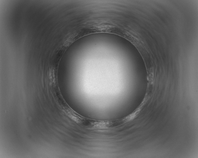 X0000082980182200702160007