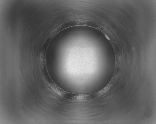 X0000082980184200702160007