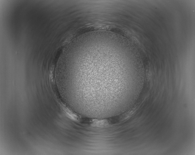 X0000082980185200702160007
