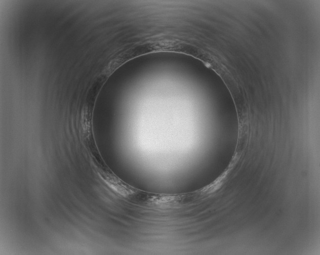 X0000082980186200702160007