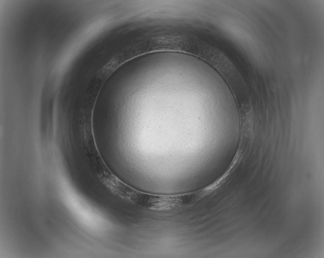 X0000082980191200702160007