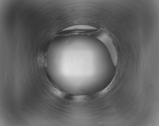 X0000082980192200702160007