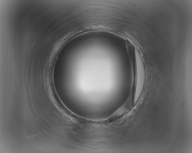 X0000082980193200702160006