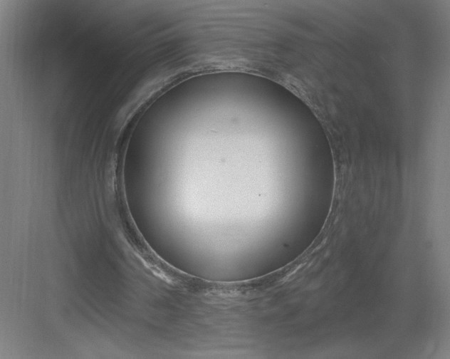 X0000082980194200702160006
