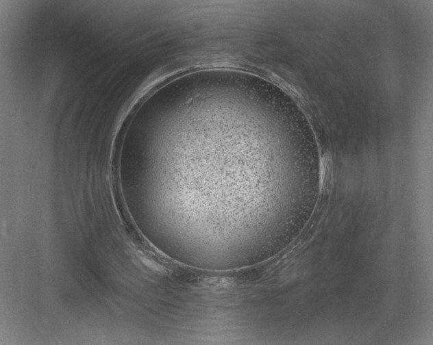 X0000082980195200702160006