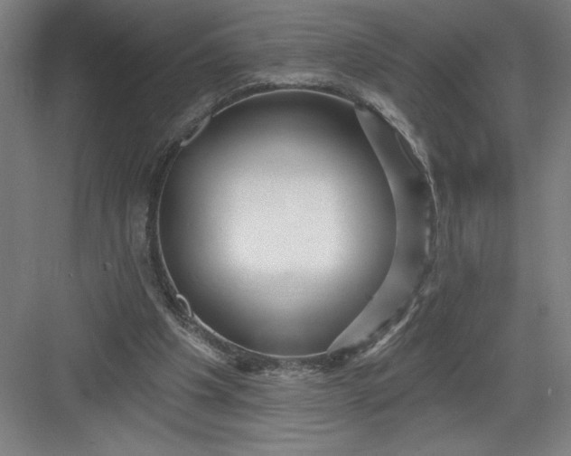 X0000082980201200702160006