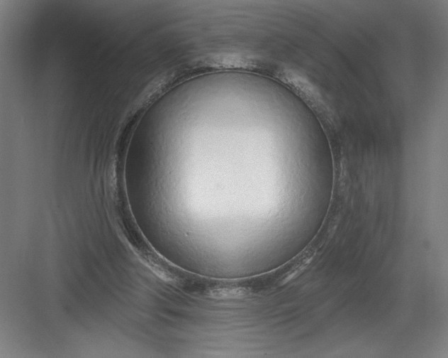 X0000082980202200702160006