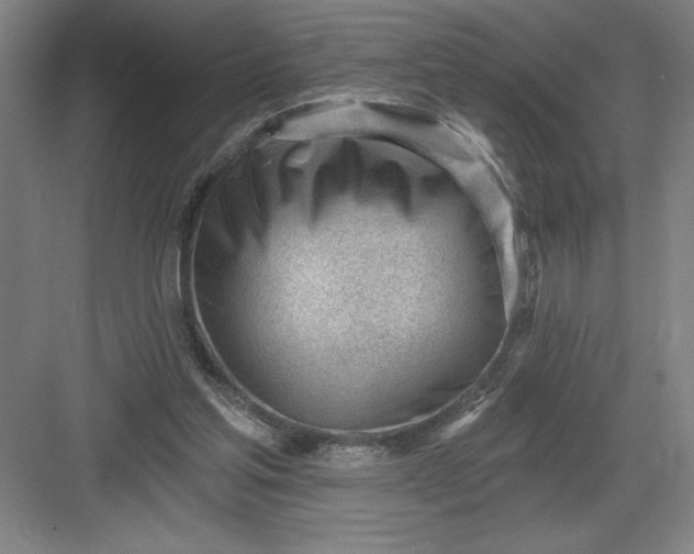 X0000082980205200702160006