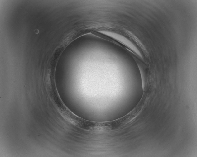 X0000082980209200702160006