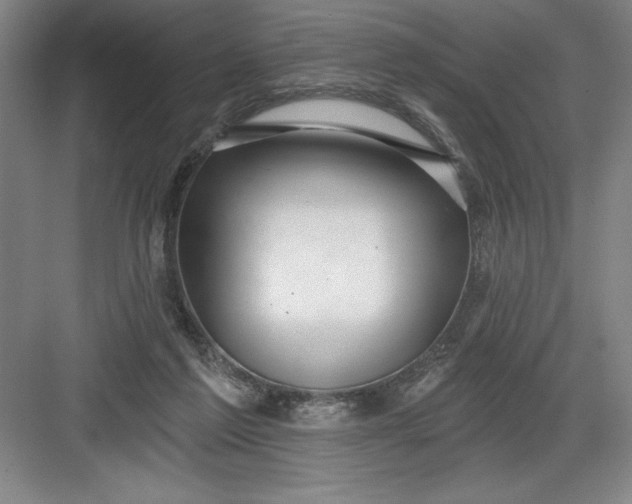 X0000082980213200702160006