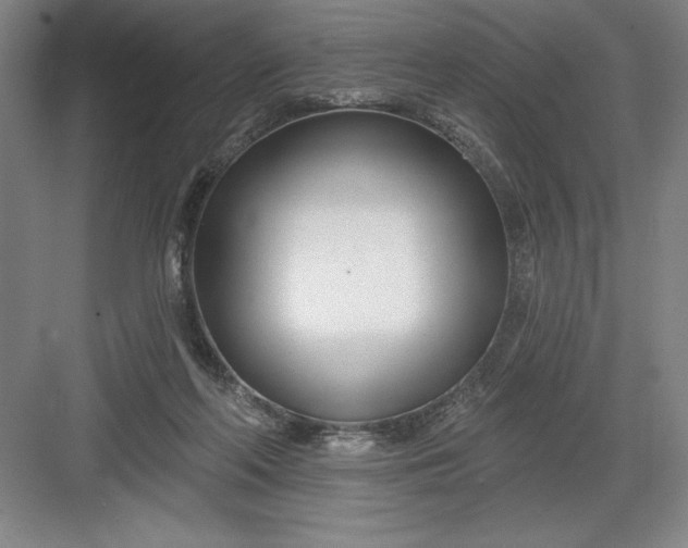X0000082980214200702160006