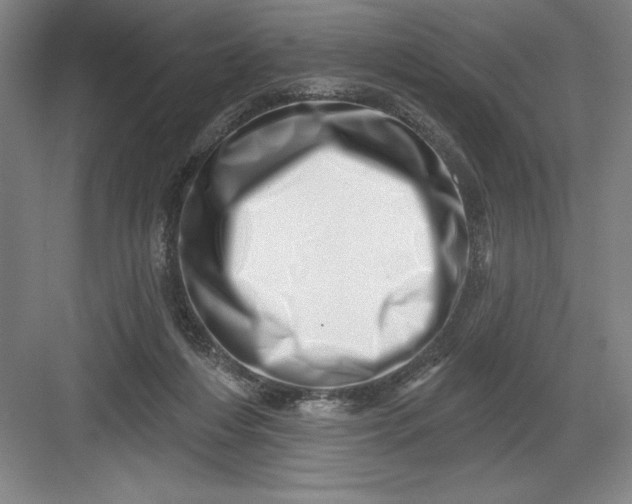 X0000082980216200702160006