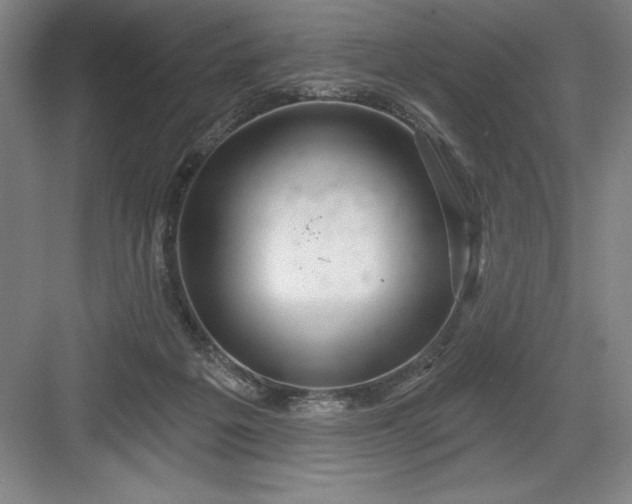 X0000082980217200702160006
