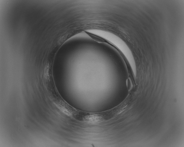 X0000082980219200702160006