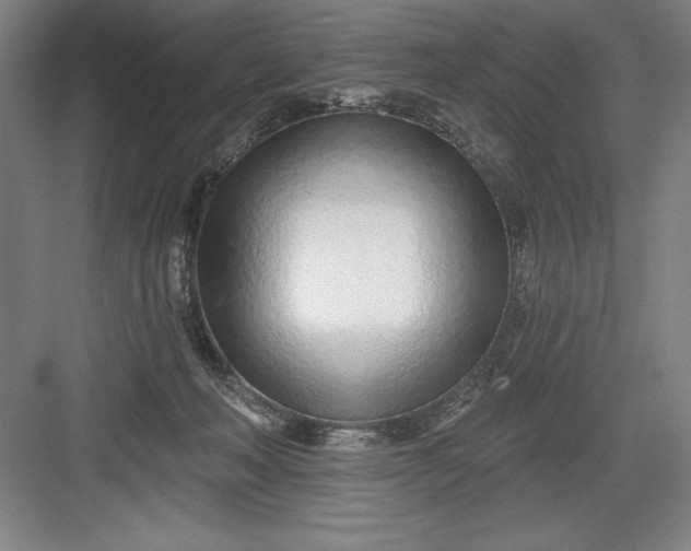 X0000082980222200702160006
